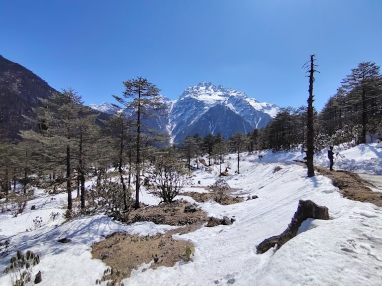 Yumthang Valley_Sikkim_4